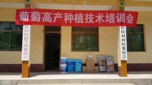 藍(lán)色菌團(tuán)走進(jìn)河北保定順平縣