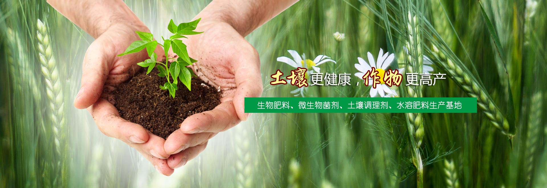 石家莊生物有機(jī)肥