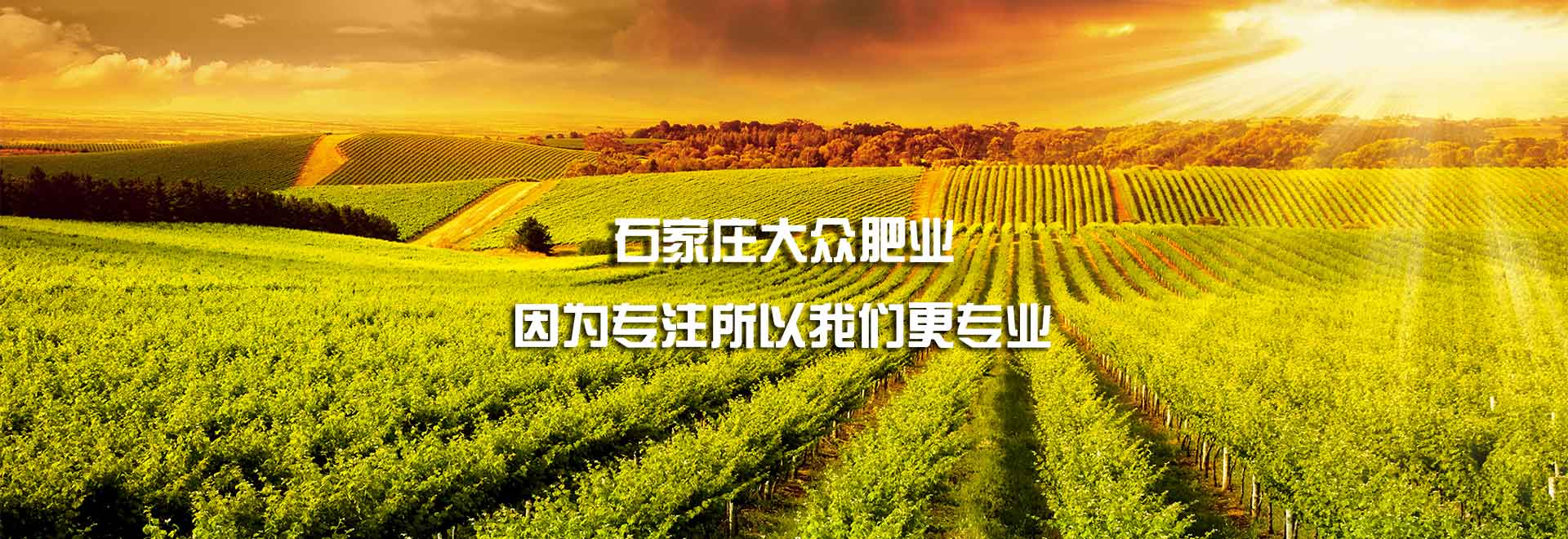 復(fù)合生物肥